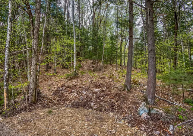 5th image of 00 Ellis Ridge Rd, Bartlett, NH 03838 | MLS# 5081468