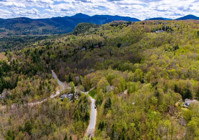 8th image of 00 Ellis Ridge Rd, Bartlett, NH 03838 | MLS# 5081468