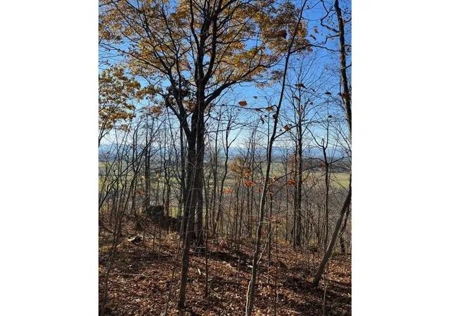 3rd image of Tbd Hemenway Rd, Bridport, VT 05753 | MLS# 5081481