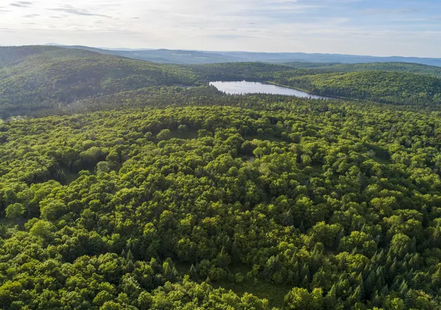 Photo 3 of Land for sale at 8 Diamond Pond Rd, Colebrook, NH 03576 | MLS# 5081661 | Listing updated on 2026-10-07