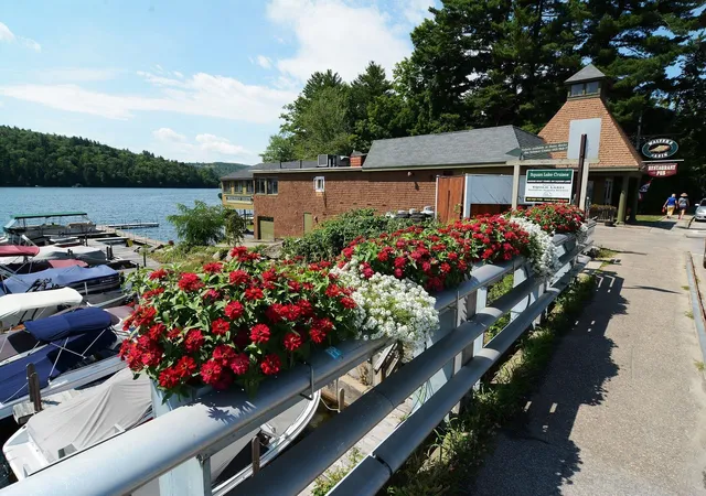 Homes for sale in Holderness, NH | 10 Hollows Rd #(aka Unit 48), Holderness, NH 03245 | MLS# 5081804