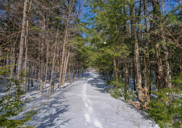 Homes for sale in Ludlow, VT | 0 Woods Road West, Ludlow, VT 05149 | MLS# 5081865