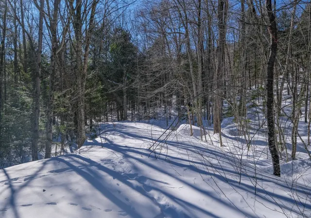 Homes for sale in Ludlow, VT | 0 Woods Road West, Ludlow, VT 05149 | MLS# 5081865