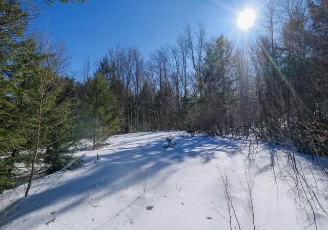 Homes for sale in Ludlow, VT | 0 Woods Road West, Ludlow, VT 05149 | MLS# 5081865