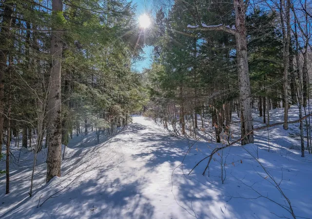 Homes for sale in Ludlow, VT | 0 Woods Road West, Ludlow, VT 05149 | MLS# 5081865