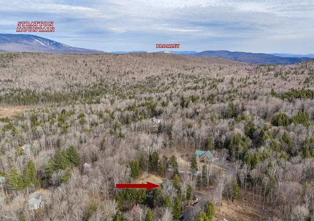 Homes for sale in Wardsboro, VT | 556 Saw Mill Rd, Wardsboro, VT 05360 | MLS# 5082001