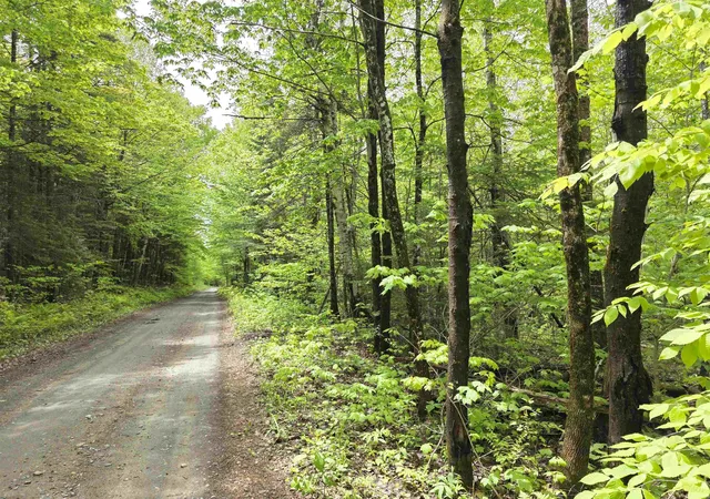 1st image of 1500 Allard Hill Rd, Wheelock, VT 05851 | MLS# 5082074