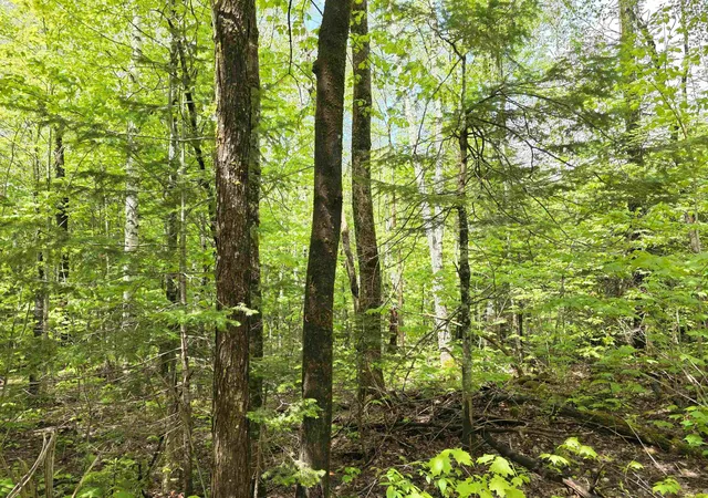 2nd image of 1500 Allard Hill Rd, Wheelock, VT 05851 | MLS# 5082074