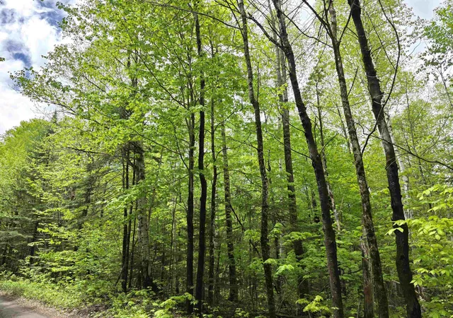 4th image of 1500 Allard Hill Rd, Wheelock, VT 05851 | MLS# 5082074