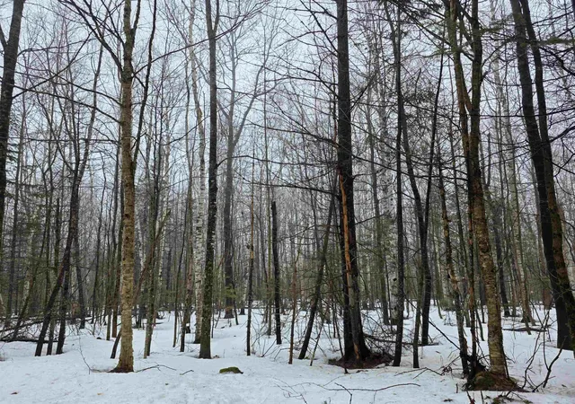 5th image of 1500 Allard Hill Rd, Wheelock, VT 05851 | MLS# 5082074
