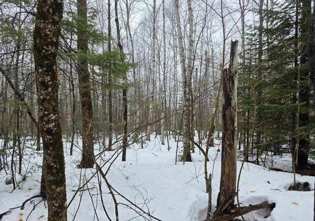 8th image of 1500 Allard Hill Rd, Wheelock, VT 05851 | MLS# 5082074