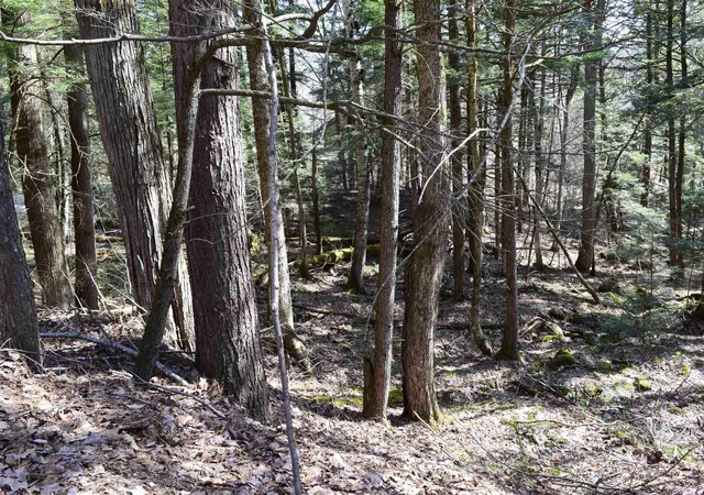 Homes for sale in Haverhill, NH | Lot 14 Hanover Dr, Haverhill, NH 03765 | MLS# 5082231