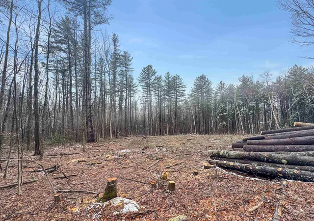 Photo 1 of Land for sale at 0 Hunt Rd, Wardsboro, VT 05355 | MLS# 5082739 | Listing updated on 2026-09-11
