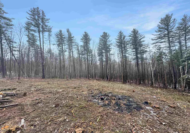 Photo 2 of Land for sale at 0 Hunt Rd, Wardsboro, VT 05355 | MLS# 5082739 | Listing updated on 2026-09-11