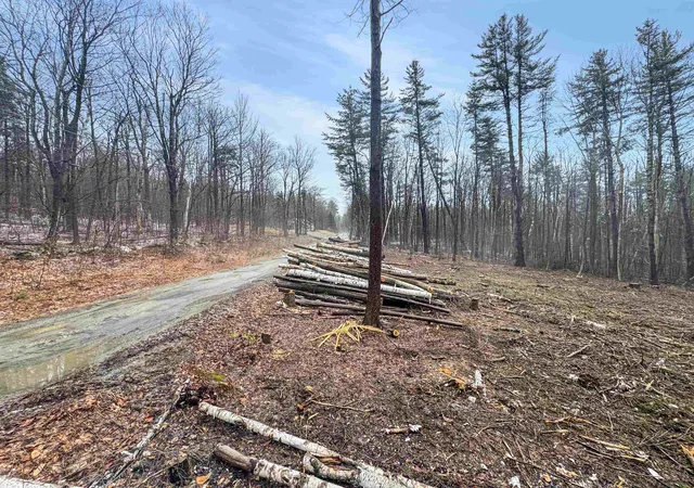 Photo 3 of Land for sale at 0 Hunt Rd, Wardsboro, VT 05355 | MLS# 5082739 | Listing updated on 2026-09-11
