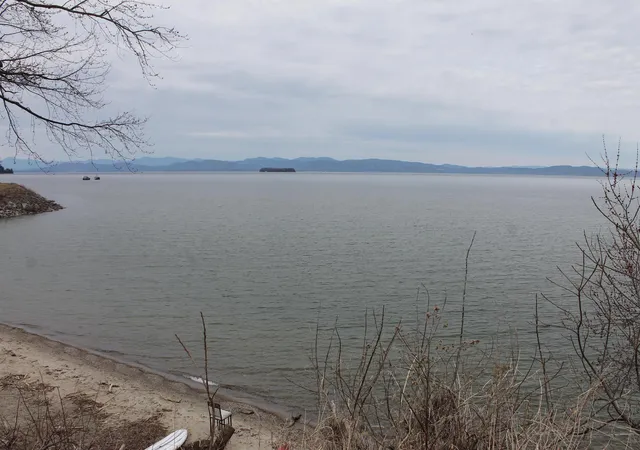 Homes for sale in Burlington, VT | 56 Wright Ave, Burlington, VT 05401 | MLS# 5083392