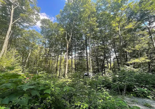 2nd image of 126 Downing Rd, Topsham, VT 05076 | MLS# 5083465