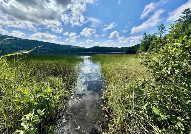 4th image of 31 Post Pond Ln, Lyme, NH 03768 | MLS# 5083502