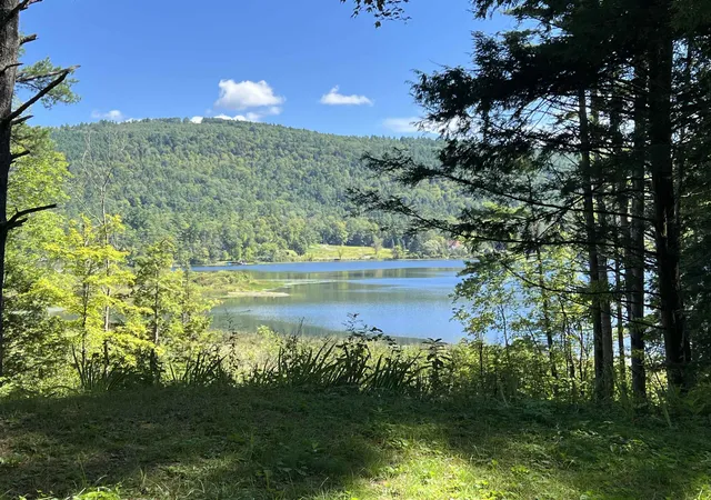 Photo 3 of Single family home for sale at 31 Post Pond Ln, Lyme, NH 03768 | MLS# 5083505 | Listing updated on 2026-08-31
