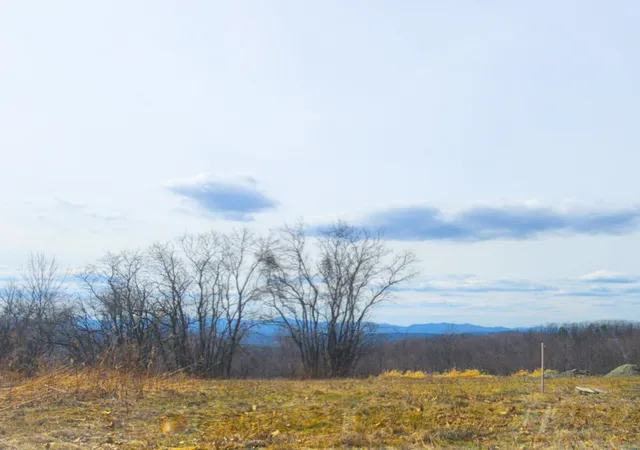 Photo 3 of Land for sale at 0 Applesauce Hill Rd, Castleton, VT 05735 | MLS# 5083514 | Listing updated on 2026-07-23