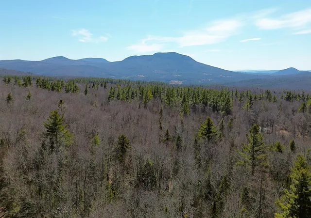 Homes for sale in Piermont, NH | Cape Moonshine Rd, Piermont, NH 03779 | MLS# 5083519