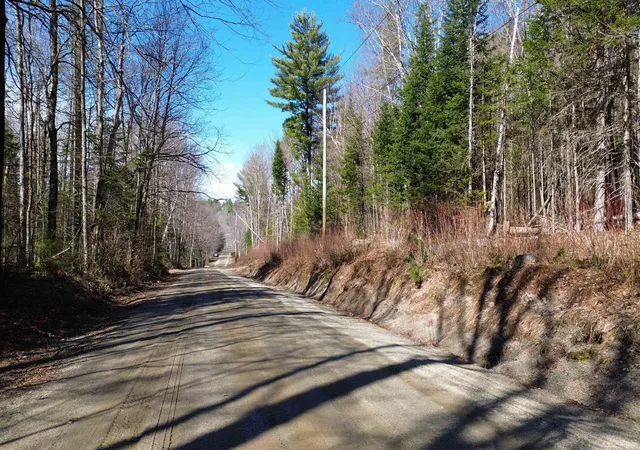 Homes for sale in Piermont, NH | Cape Moonshine Rd, Piermont, NH 03779 | MLS# 5083519