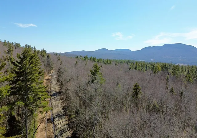 Homes for sale in Piermont, NH | Cape Moonshine Rd, Piermont, NH 03779 | MLS# 5083519