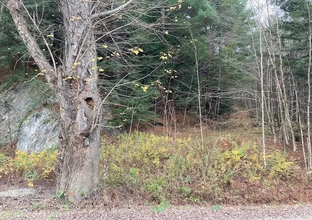 11th image of 843 River Rd, Troy, VT 05859 | MLS# 5083637