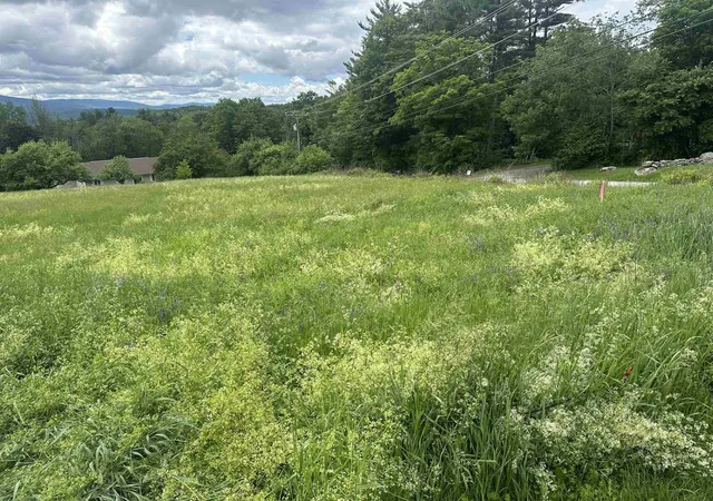 Homes for sale in Sunapee, NH | Lot 31 North Rd, Sunapee, NH 03782 | MLS# 5083797