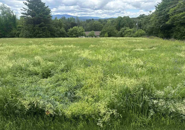 Homes for sale in Sunapee, NH | Lot 31 North Rd, Sunapee, NH 03782 | MLS# 5083797