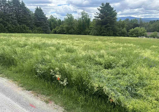 Homes for sale in Sunapee, NH | Lot 31 North Rd, Sunapee, NH 03782 | MLS# 5083797