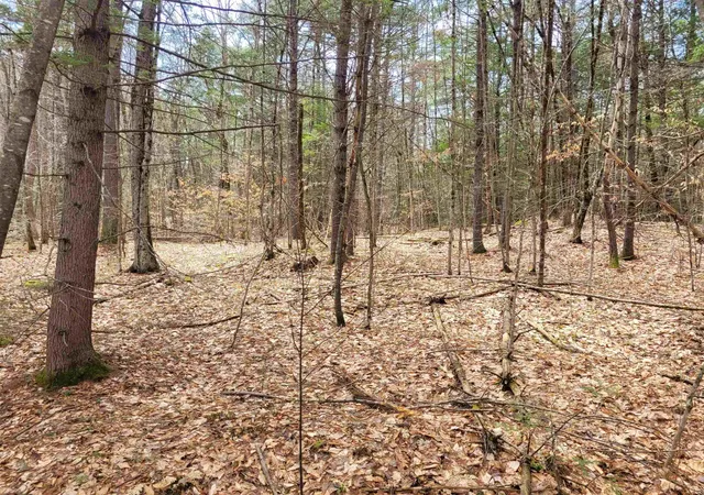 Homes for sale in Winchester, NH | 0 Tipping Rock Rd, Winchester, NH 03470 | MLS# 5084190