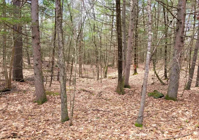 Homes for sale in Winchester, NH | 0 Tipping Rock Rd, Winchester, NH 03470 | MLS# 5084190