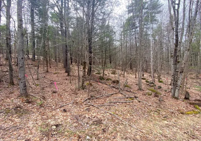 26th image of 00 Winnipesaukee Dr, Wolfeboro, NH 03894 | MLS# 5084218