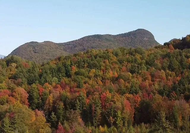 Photo 4 of Land for sale at Lot 9 South Applesauce Hl, Castleton, VT 05735 | MLS# 5084384 | Listing updated on 2026-08-21