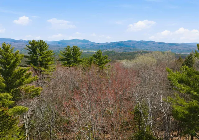 Homes for sale in Campton, NH | 0 Puckerbrush Rd, Campton, NH 03223 | MLS# 5084993