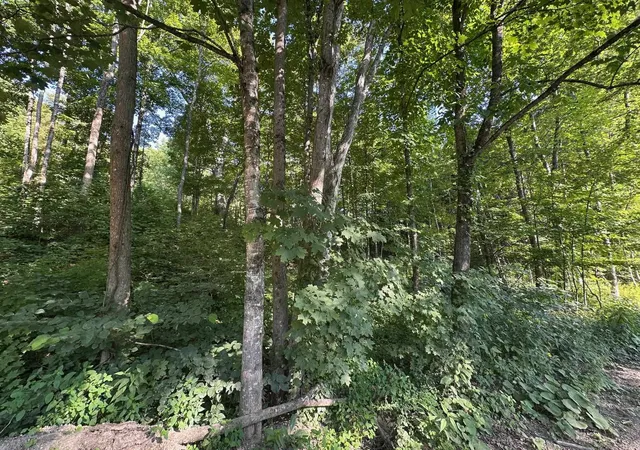 Homes for sale in Winchester, NH | 90 Old Swanzey Rd, Winchester, NH 03470 | MLS# 5085013