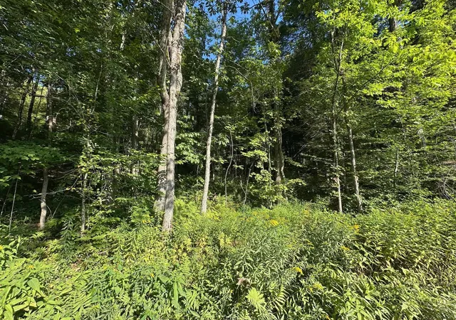 Homes for sale in Winchester, NH | 90 Old Swanzey Rd, Winchester, NH 03470 | MLS# 5085013