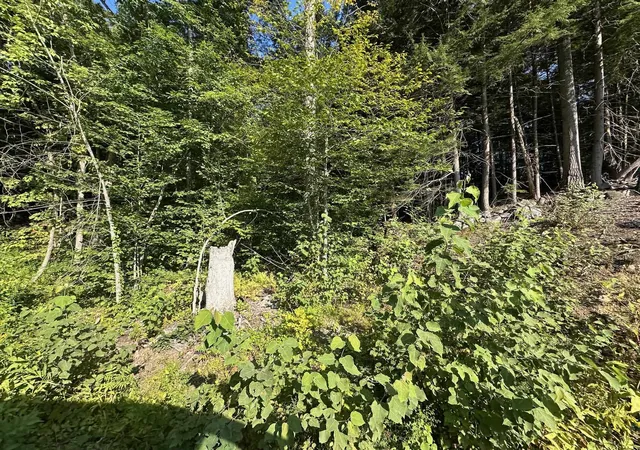 Homes for sale in Winchester, NH | 90 Old Swanzey Rd, Winchester, NH 03470 | MLS# 5085013