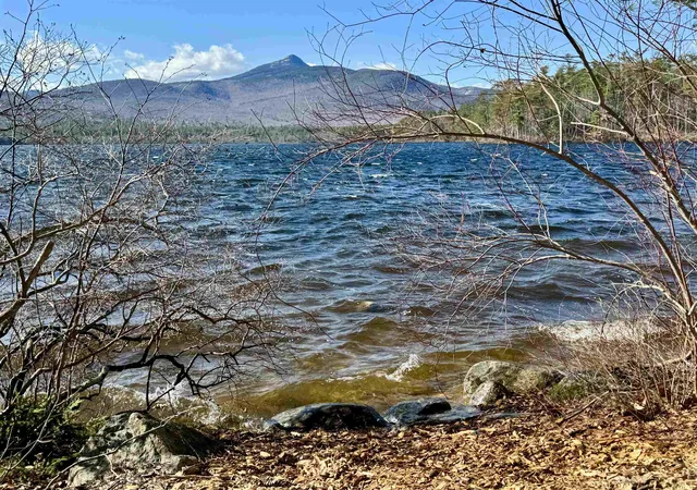 41st image of 2659 Nh Route 16, Albany, NH 03818 | MLS# 5085412