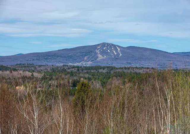 Homes for sale in Winhall, VT | 59 Garden Loop Rd, Winhall, VT 05340 | MLS# 5085635
