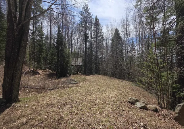 Photo 1 of Land for sale at 1715 New Hampshire Route 118 Route, Dorchester, NH 03266 | MLS# 5085644 | Listing updated on 2026-08-01