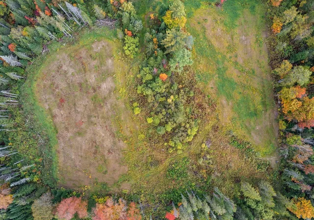 5th image of 335 Calais Rd, Worcester, VT 05682 | MLS# 5086377