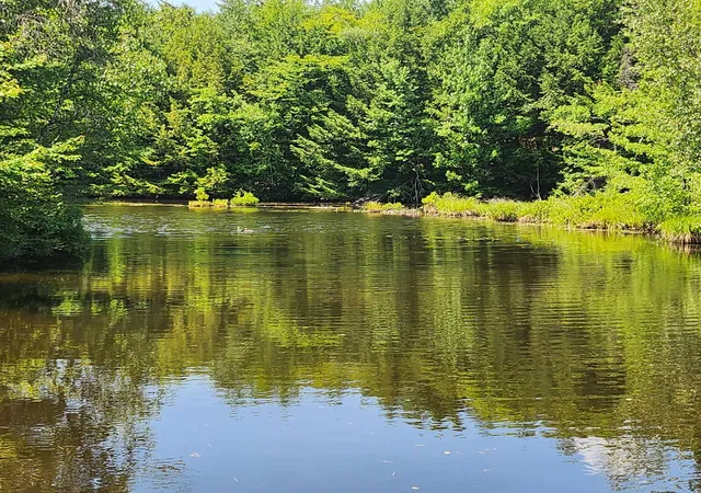 Photo 3 of Single family home for sale at 80 N Dorr Wy, East Wakefield, NH 03830 | MLS# 5086406 | Listing updated on 2026-07-24