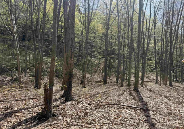 11th image of 244 Mountain Rd, Chesterfield, NH 03466 | MLS# 5086423