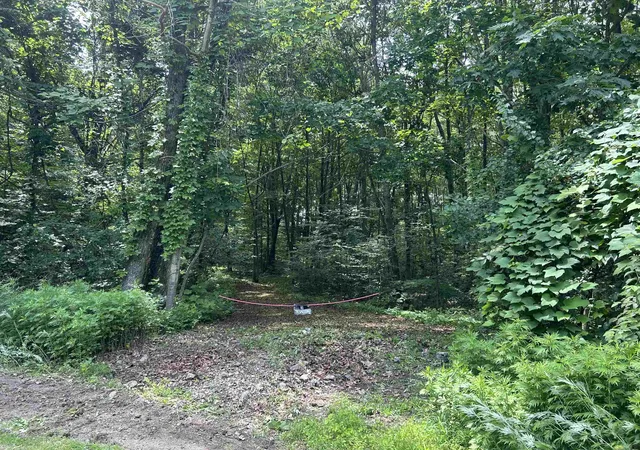 4th image of 244 Mountain Rd, Chesterfield, NH 03466 | MLS# 5086423