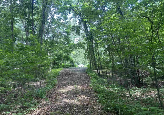 5th image of 244 Mountain Rd, Chesterfield, NH 03466 | MLS# 5086423