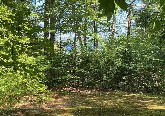 35th image of 21 Hospitality Wy, Newbury, NH 03255 | MLS# 5086540