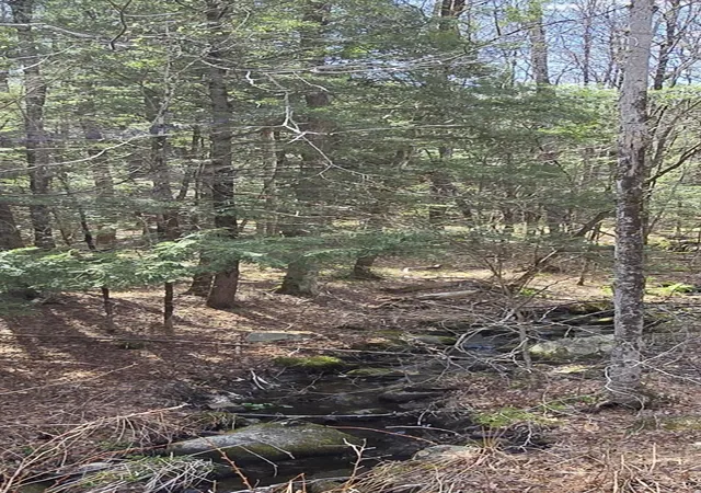 Photo 2 of Land for sale at 0 Jacobs Ladder Rd, Becket, MA 01223 | MLS# 5086763 | Listing updated on 2026-06-29