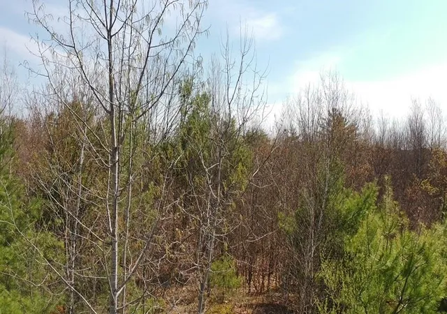 Photo 4 of Land for sale at 988 Dover Rd, Epsom, NH 03234 | MLS# 5086776 | Listing updated on 2026-09-01